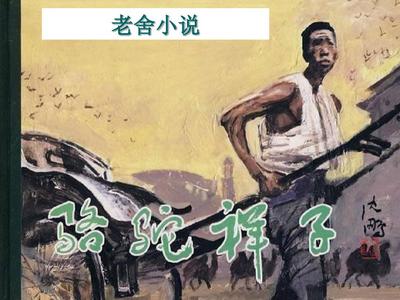 海角社区免费观看官方入口
